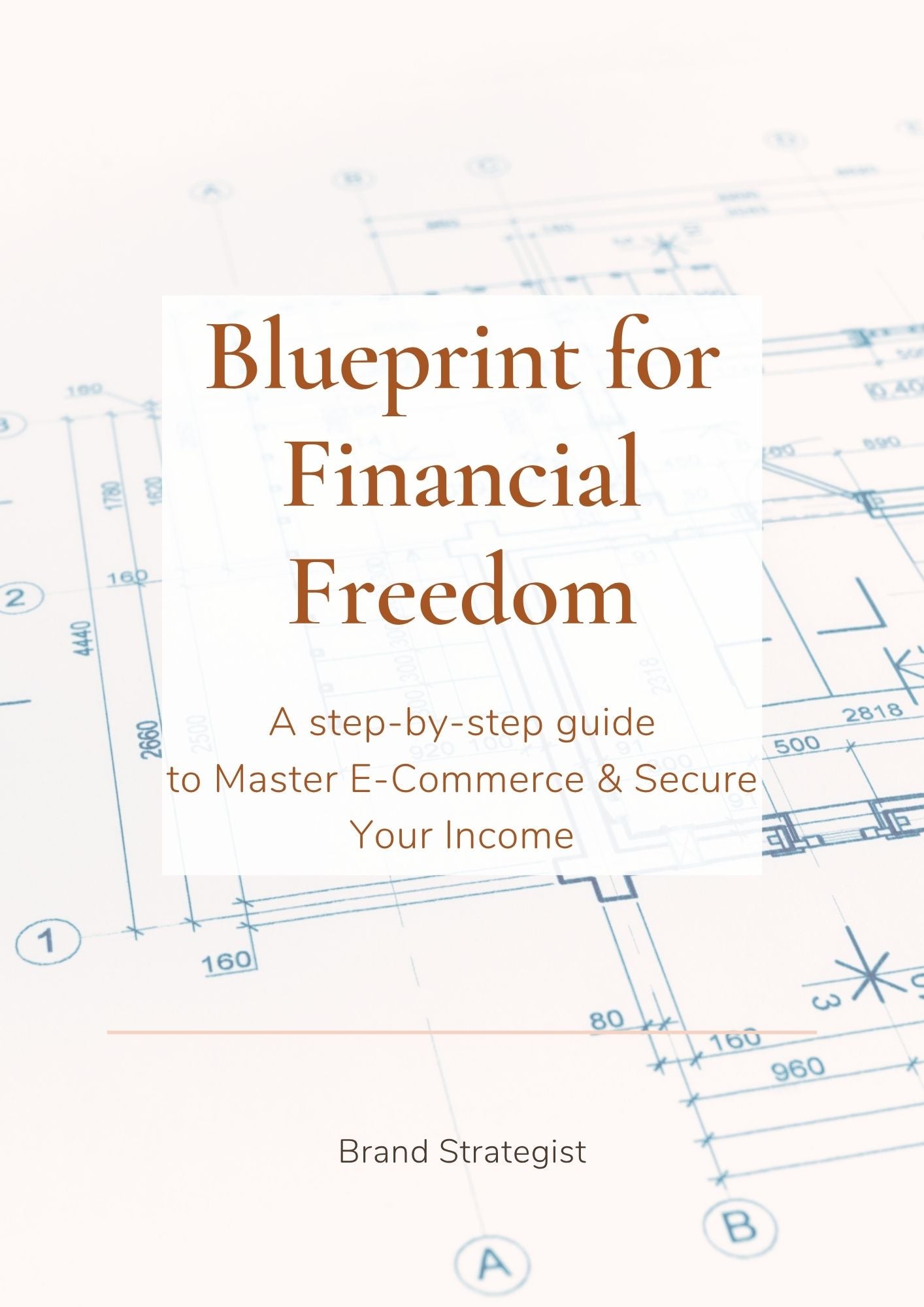 Blueprint for Financial Freedom: Your Step-by-Step Guide to Mastering E-Commerce & Securing Your Income