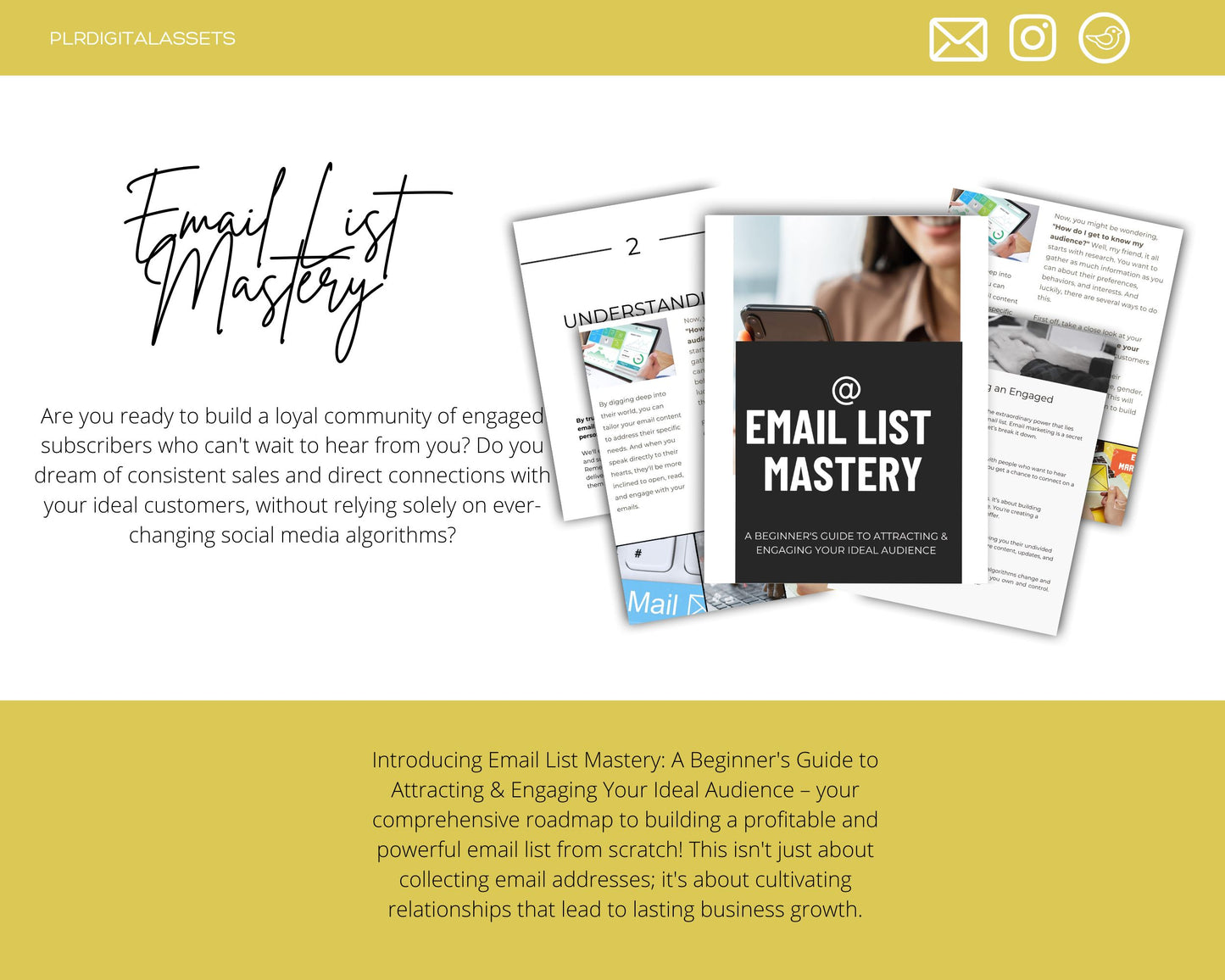 Email List Mastery: A Beginner's Guide to Attracting & Engaging Your Ideal Audience